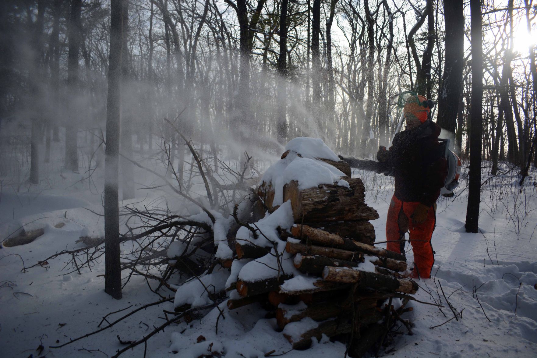 Devil's Lake east bluff stewardship work